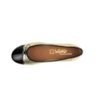 081 19004 Dourado6_1-6